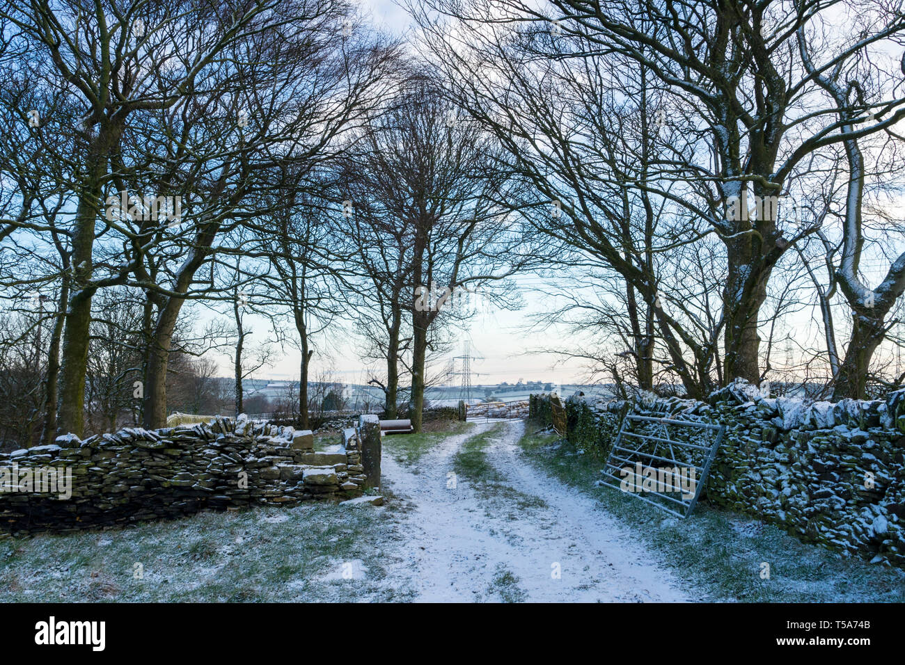 Paesaggio rurale attorno Penistone, England, Regno Unito Foto Stock