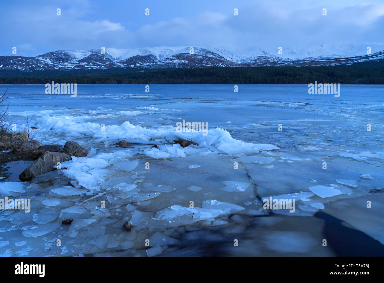 Inverno a congelata di Loch Morlich nr Aviemore Scozia, Regno Unito Foto Stock