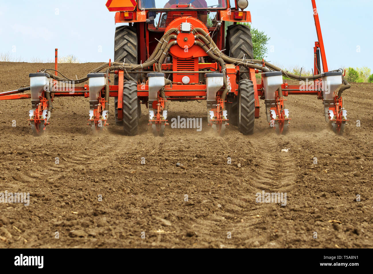 Irriconoscibile agricoltore è la guida del trattore con montato il raccolto seminatrice e la semina di sementi di mais nel campo Foto Stock