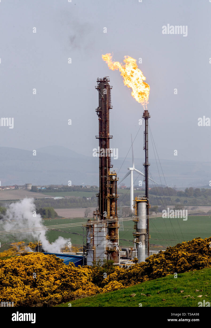 La Fife impianto di etilene in Mossmorran, Fife, dove svasatura è stato in funzione negli ultimi giorni. ExxonMobil e Shell UK operano congiuntamente il complesso. Foto Stock