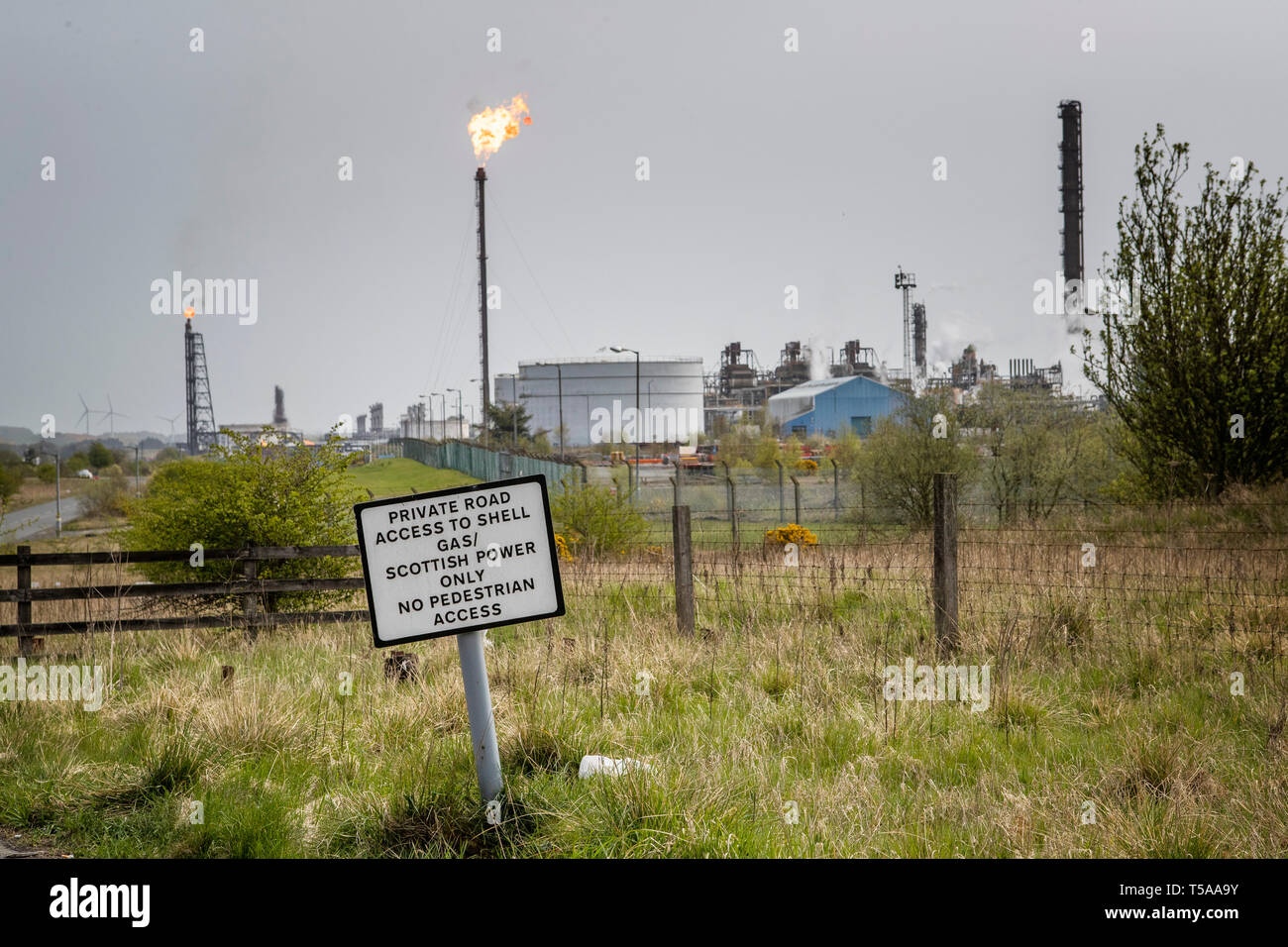 La Fife impianto di etilene in Mossmorran, Fife, dove svasatura è stato in funzione negli ultimi giorni. ExxonMobil e Shell UK operano congiuntamente il complesso. Foto Stock