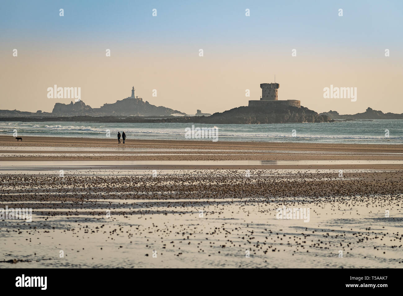 St Ouen, Bay Jersey Regno Unito - Aprile 2019: Roco La Torre e la Corbiere Lighthouse Foto Stock