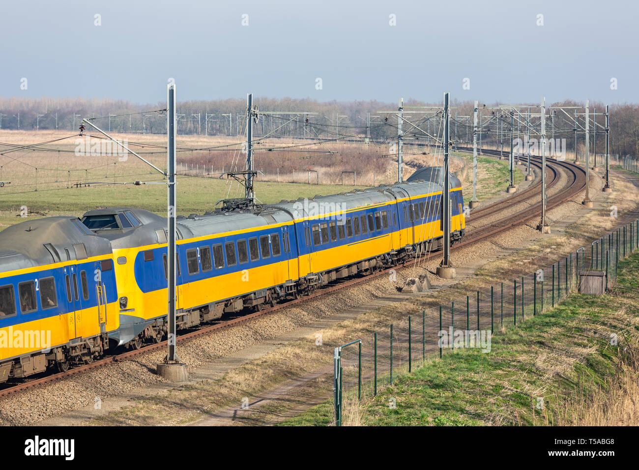 Stazione ferroviaria olandese attraverso il Parco Nazionale di Oostvaardersplassen vicino Almere e Lelystad Foto Stock