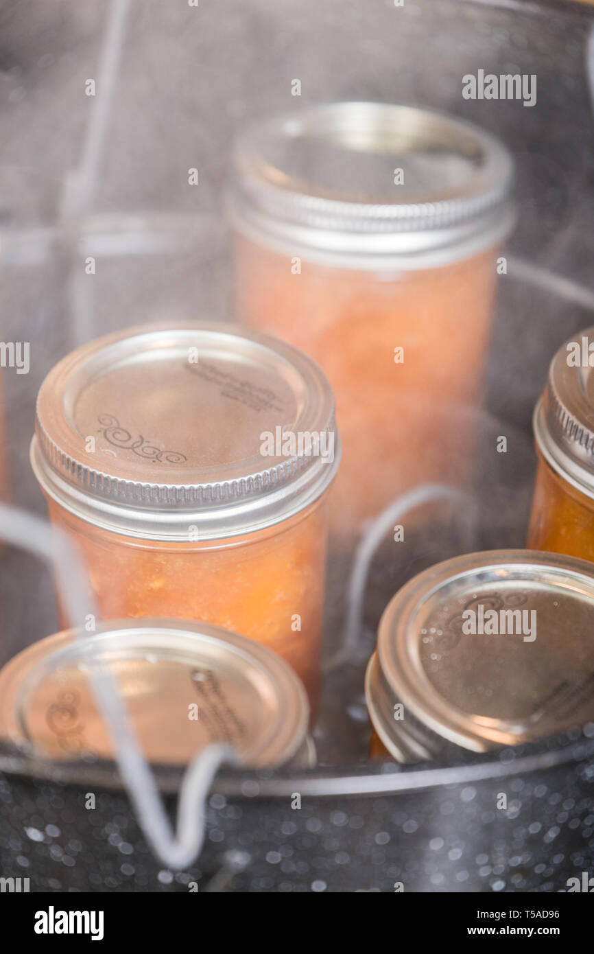 Vasi di marmellata di albicocche in appoggio su un rack scanner in acqua bollente canner. Canner cremagliere di semplificare il processo di inscatolamento aiutandovi a ottenere in modo sicuro con un carico di Foto Stock