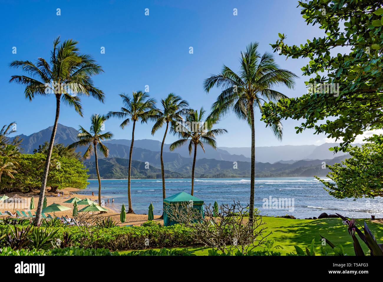 Spiaggia di un resort di Hanalei Bay e la costa di Na Pali Princeville Kauai Hawaii USA nel sole del tardo pomeriggio Foto Stock