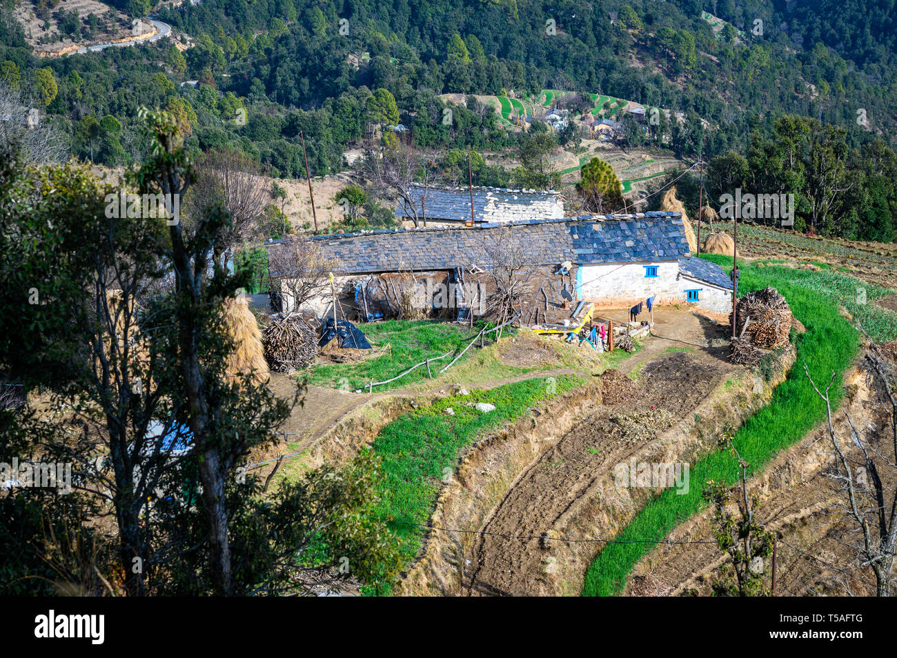 Casa di villaggio in colline di Uttarakhand, Pithoragarh , India. Foto Stock