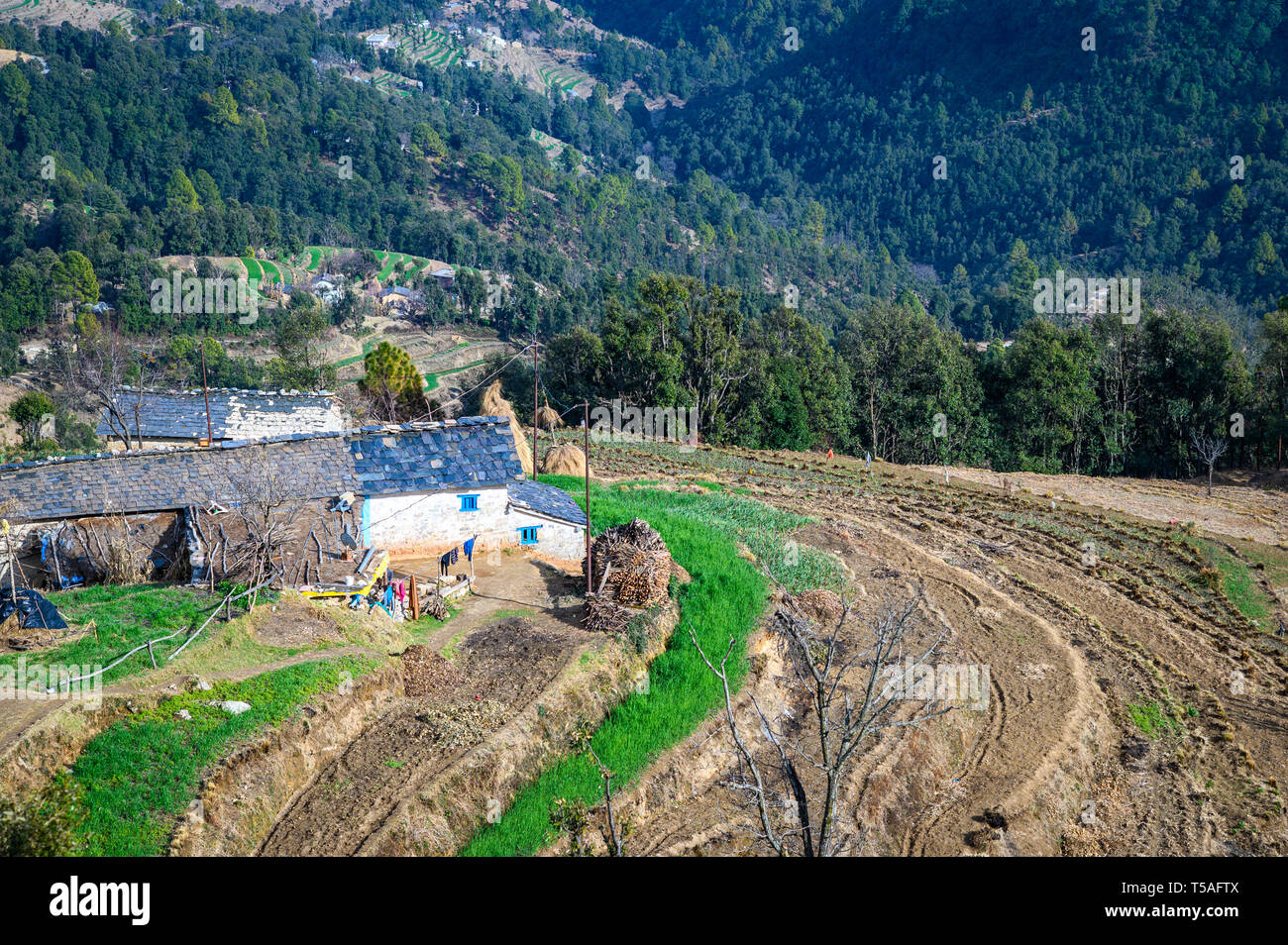 Casa di villaggio in colline di Uttarakhand, Pithoragarh , India. Foto Stock
