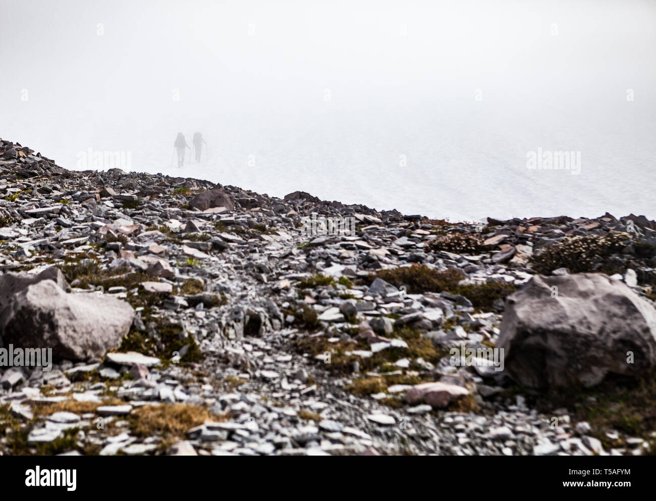 Due profili spettrali di viaggiatori con lo zaino in spalla su un campo di neve al di sopra di un cerotto di Ghiaioni rocciosi, il Parco Nazionale del Monte Rainier, Washington, Stati Uniti d'America. Foto Stock