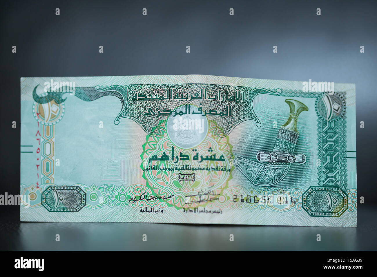 Dieci Dirhams, Emirati Arabi Uniti denaro Foto Stock