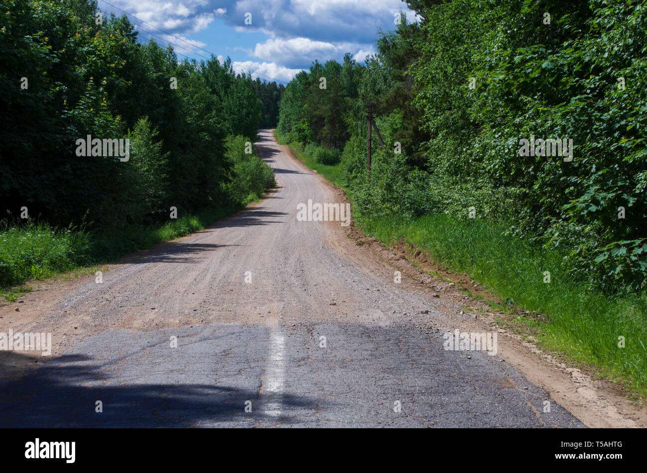 Paesaggio estivo con la fine della strada asfaltata e all'inizio della strada di ghiaia attraverso una fitta foresta Foto Stock