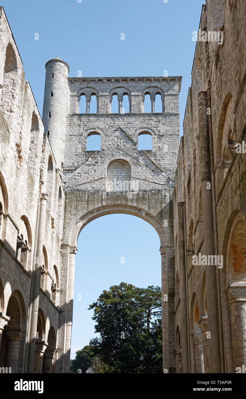 Jumieges abbazia medievale, ruderi di pietra, ad arco alto, 11 secolo, romanico, ex monastero benedettino, vecchio, Normandia; Jumieges; Francia; estate, vertic Foto Stock