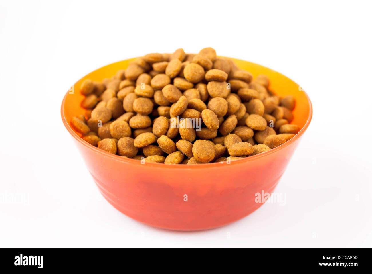 I cani e i gatti di cibo secco in rosso coppa in plastica isolato su whitebackground Foto Stock