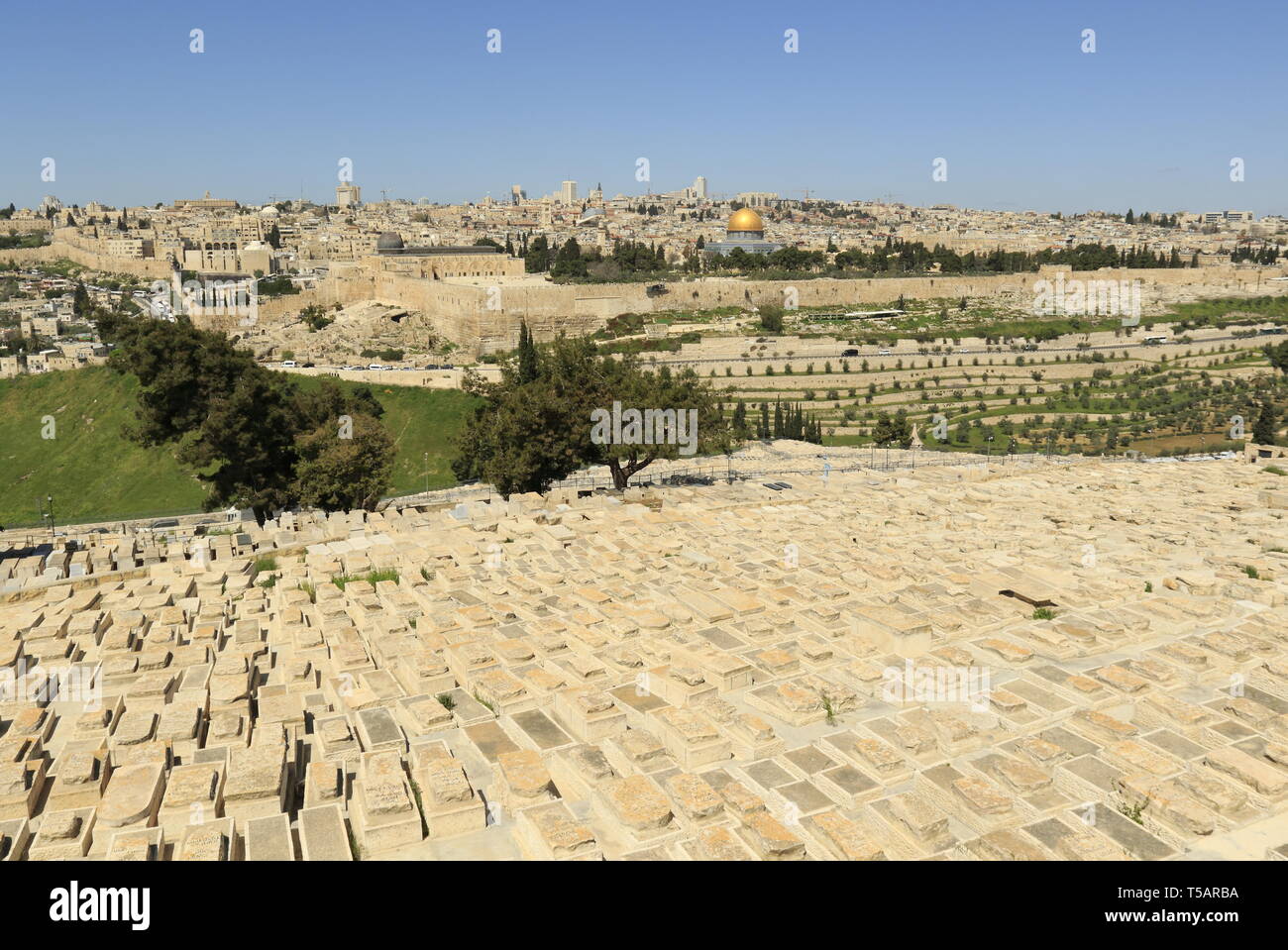 Vista di Gerusalemme ,Mount Olive, e il cimitero ebraico Foto Stock