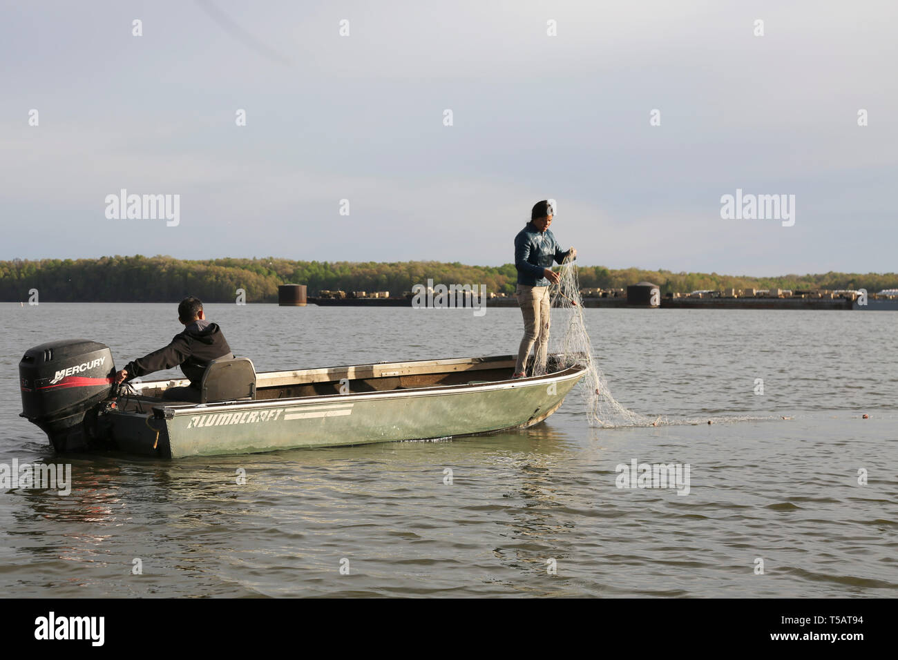 Wickliffe, STATI UNITI D'AMERICA. 22 apr, 2019. I pescatori cinesi, che hanno aderito alla pesca locale squadra di alimentazione delle carpe asiatiche ai due fiumi la pesca, opera sul Lago del Kentucky, Kentucky, Stati Uniti, 12 aprile 2019. La nascita di un parco industriale dedicato alla Asian carp trasformazione nella parte sud-orientale di Stato statunitense del Kentucky ha aggiunto alle speranze che la sua abilità nel girare il pesce osseo nella delicatezza aumenta la probabilità di vincere la battaglia contro i pesci invasiva nel fiume Mississippi. Credito: Xu Xingtang/Xinhua/Alamy Live News Foto Stock