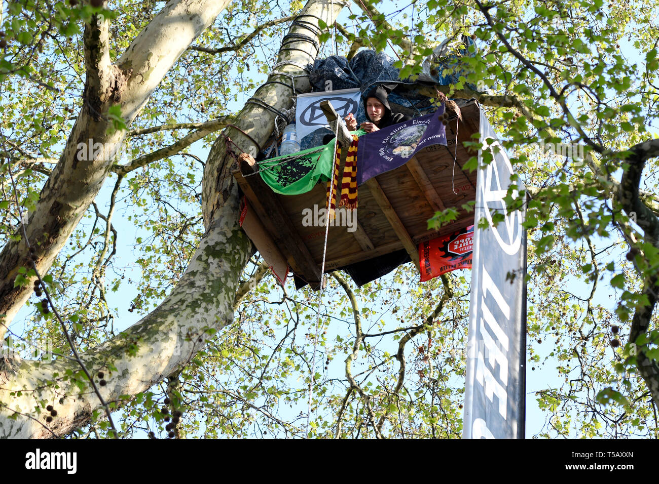 Un attivista è visto campeggio su un albero a Marble Arch durante la protesta. Il cambiamento climatico attivisti dalla ribellione di estinzione si accamparono a Marble Arch, in centro a Londra dove tutte le loro attività come la musica, illustrazioni e le classi sono in atto da, dopo gli ufficiali di polizia siti cancellati presso la Oxford Circus, Waterloo Bridge e Piazza del Parlamento dalla ribellione di estinzione contestatori. Estinzione della ribellione esige il governo per azioni dirette sul clima e di ridurre a zero le emissioni di carbonio nel 2025 e anche l'assemblea popolare. Foto Stock