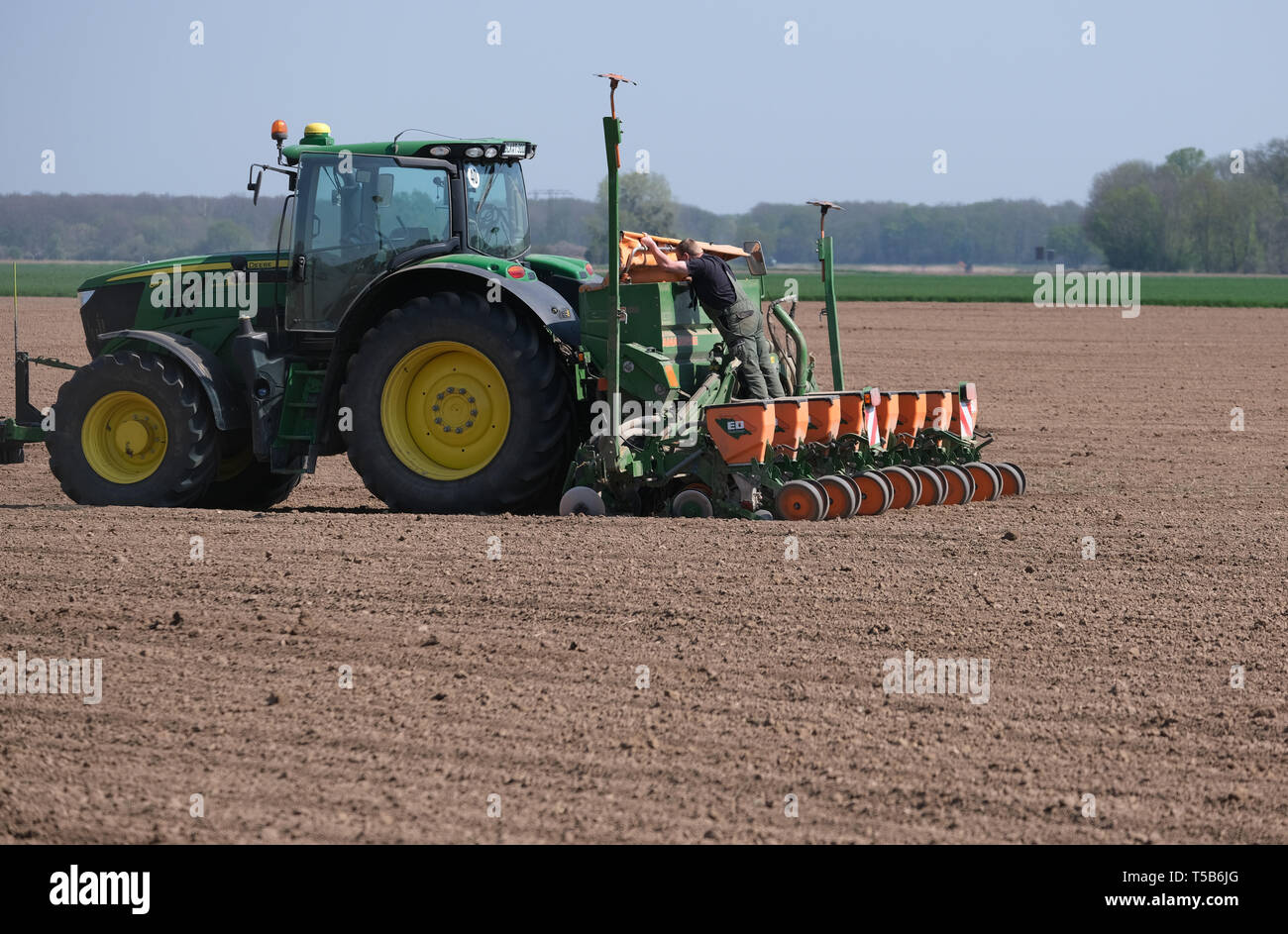 23 aprile 2019, Sassonia-Anhalt, Schönebeck: un agricoltore coltiva un campo nel Magdeburger Börde vicino a Schönebeck. Foto: Peter Förster/dpa-Zentralbild/ZB Foto Stock