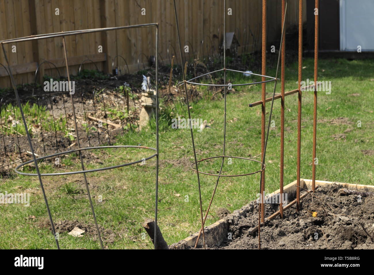 Sollevate il giardinaggio letti con pergolato e gabbie di pomodoro in esso pronta per essere piantato Foto Stock