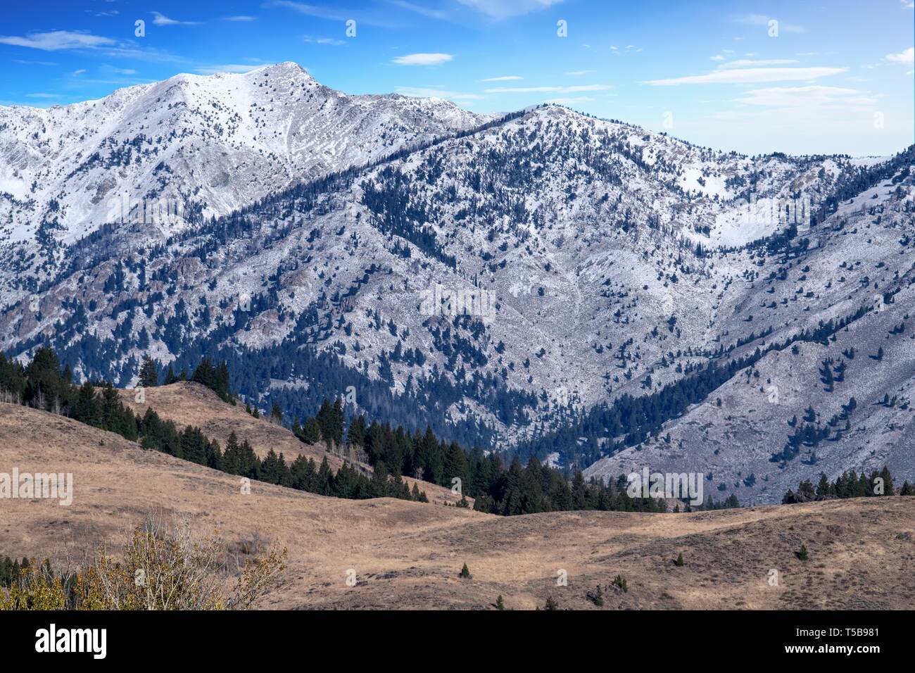 Idaho paesaggio dove alcuni tra il margine inferiore della Sagra della Pecora si verificano Foto Stock