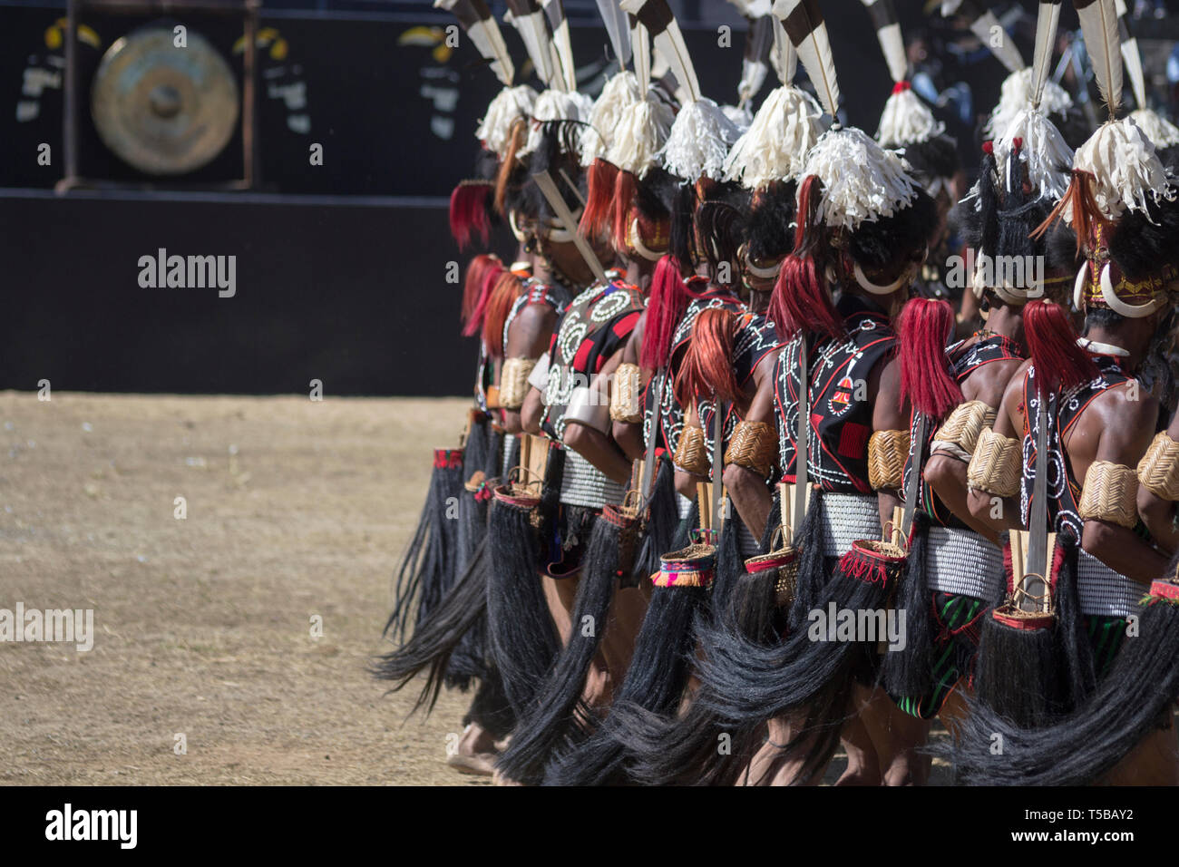 Naga Heritage Village, India. Le danze tribali presso il Festival di Hornbill Foto Stock