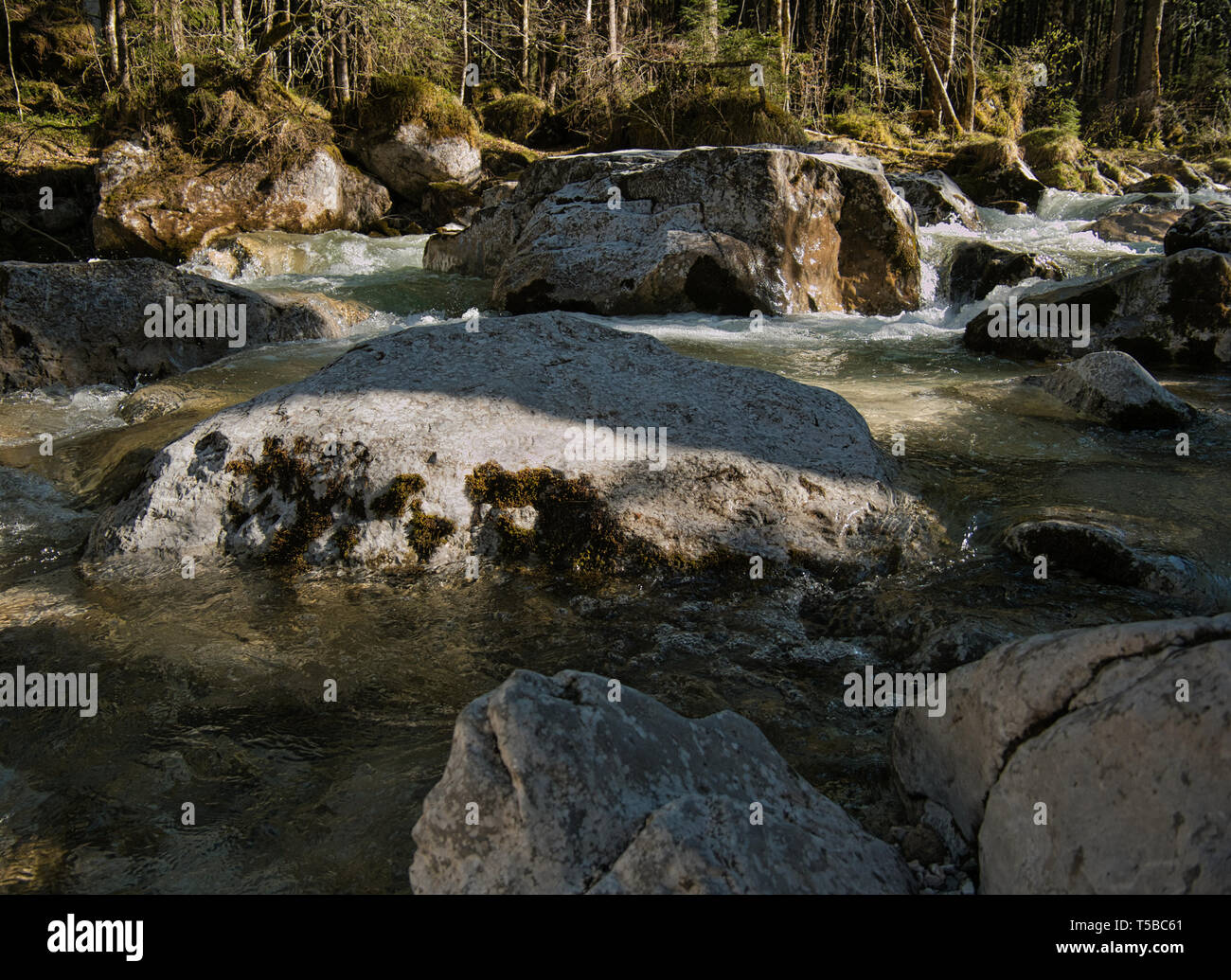 Le grandi rocce in un torrente di montagna in Baviera con la foresta in background Foto Stock