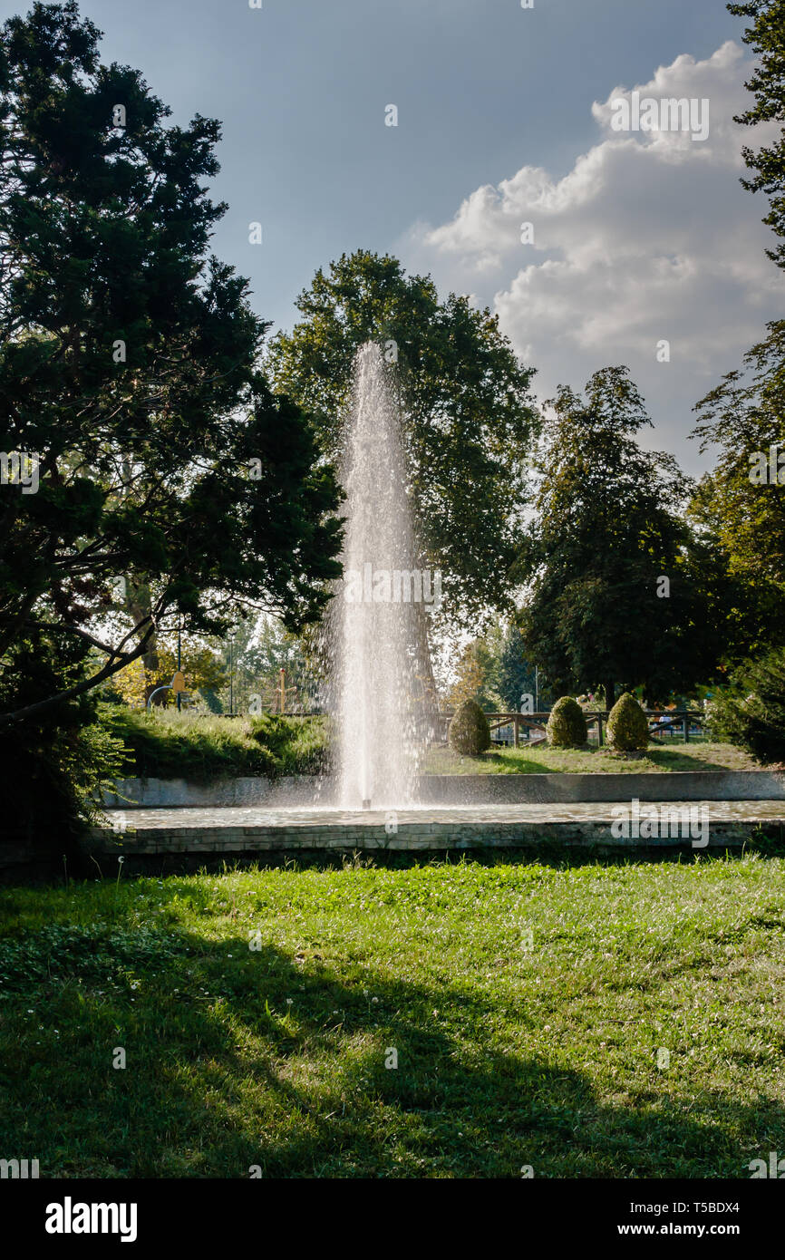 Una fontana nel Parco del Valentino, Torino Foto Stock