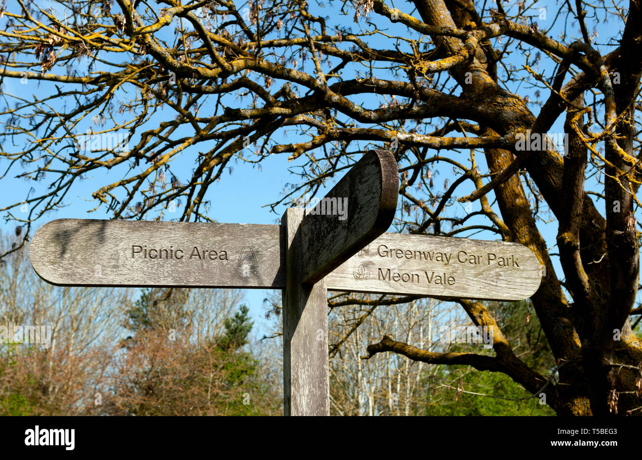 Il bosco a piedi, Meon Vale, Long Marston, Warwickshire, Inghilterra, Regno Unito Foto Stock