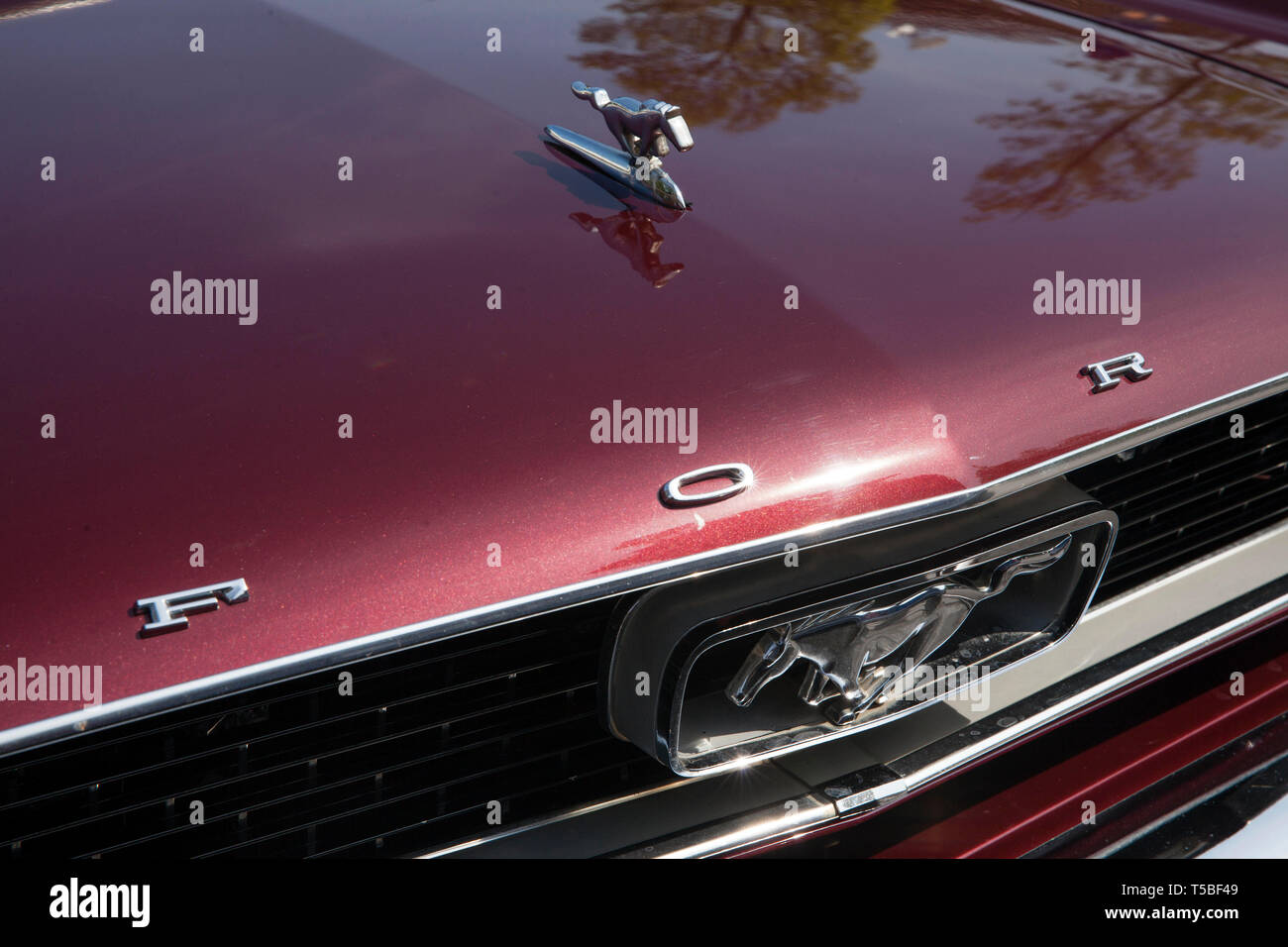 Ornamento del cofano di una Ford Mustang 289 a partire dagli anni sessanta, Colonia, Germania. Kuehlerfigur eines Ford Mustang 289 aus den 60er Jahren, Koeln, Deutschland. Foto Stock