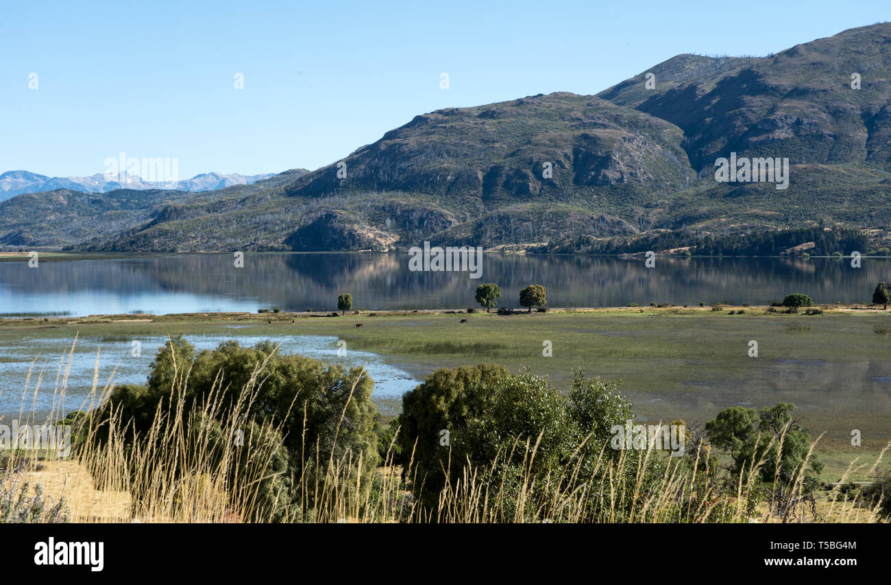 Acqua, colline, montagne, alberi e bestiame, nella periferia di Los Alerces National Park, Patagonia, Cile Foto Stock