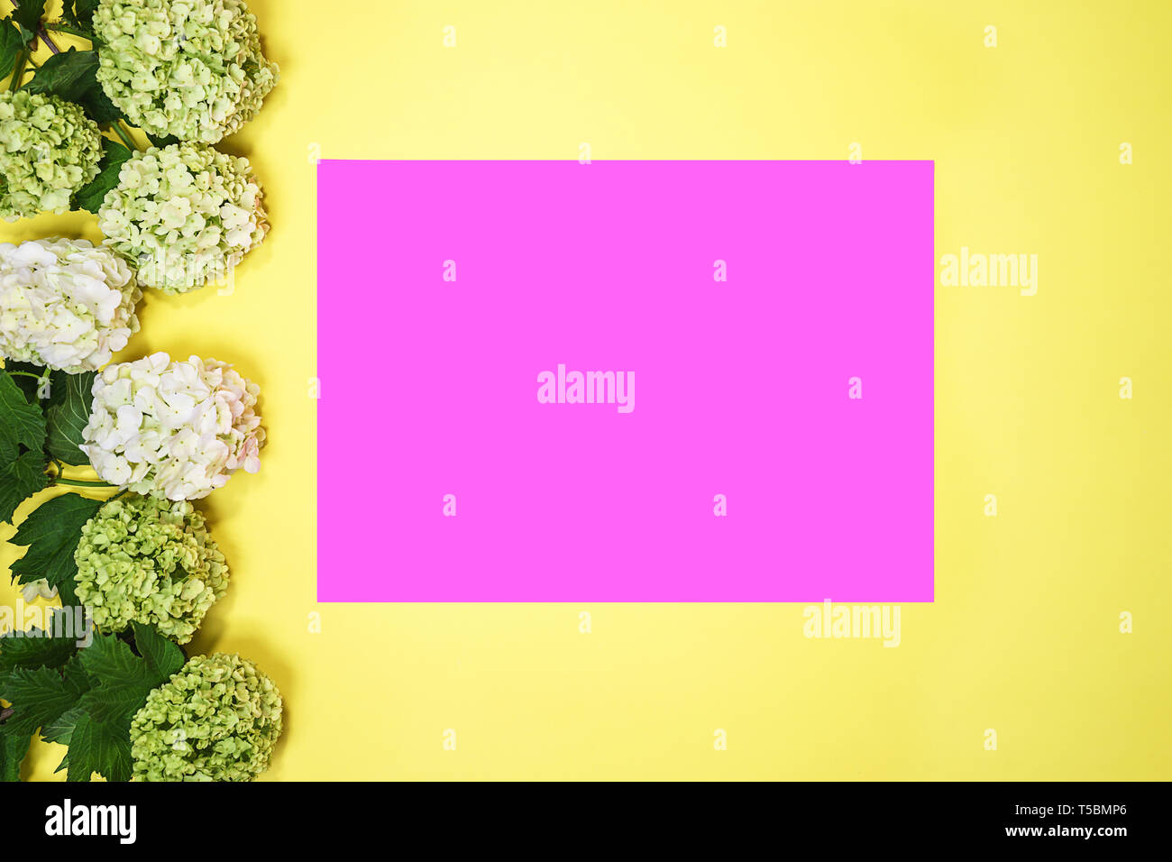 I fiori delle ortensie e rosa carta carta nota su vivid sfondo giallo. Foto Stock