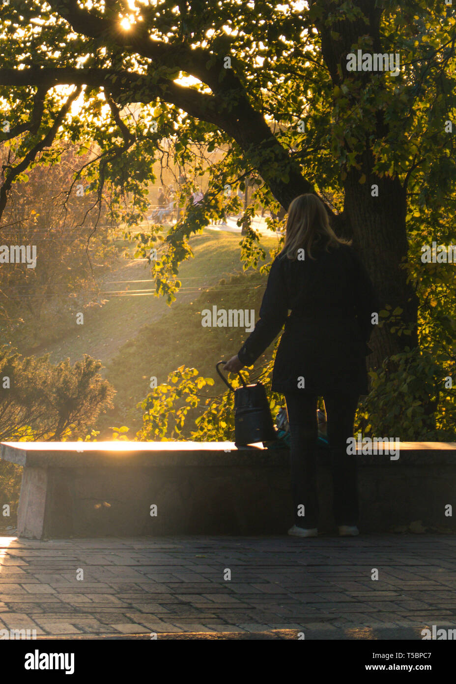 Estate o inizio autunno park al tramonto. Ombre lunghe, luce morbida e bassa sun. Chernihiv, Ucraina Foto Stock