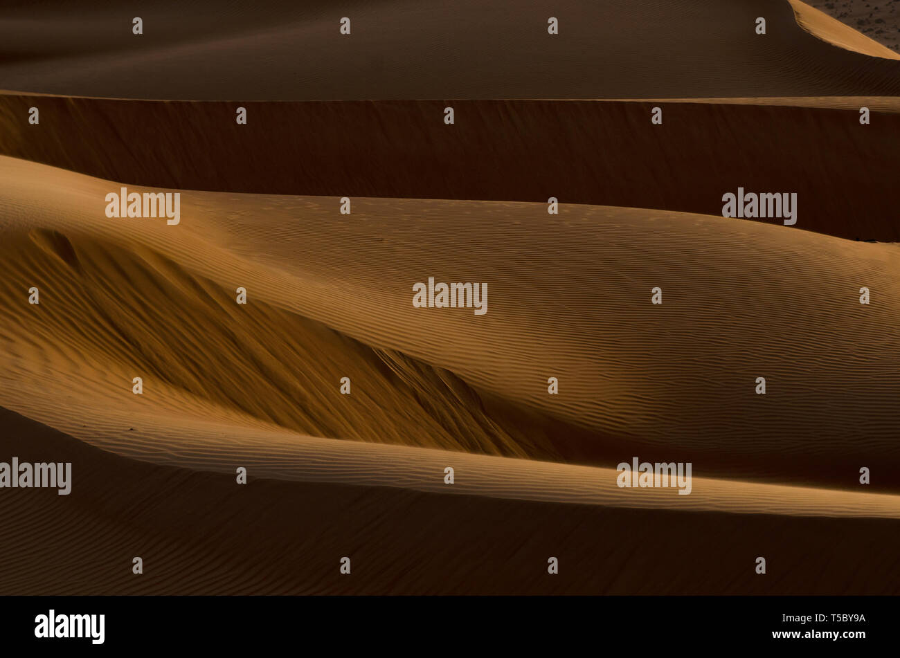 Le forme e le ombre delle dune di sabbia del deserto di Oman vicino A'Sharqiyah Sands Foto Stock