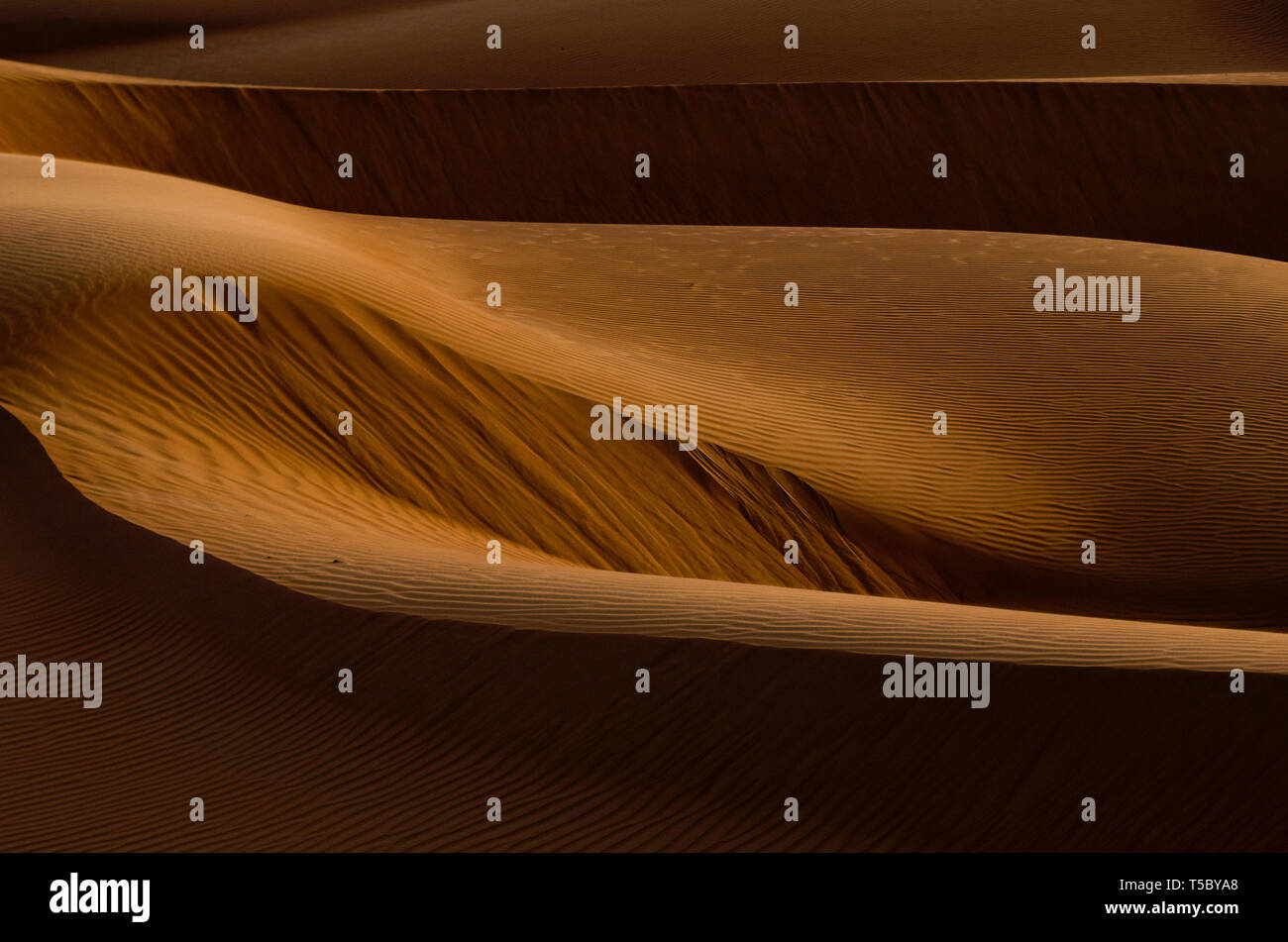 Le dune di sabbia del deserto di Oman vicino A'Sharqiyah Sands Foto Stock