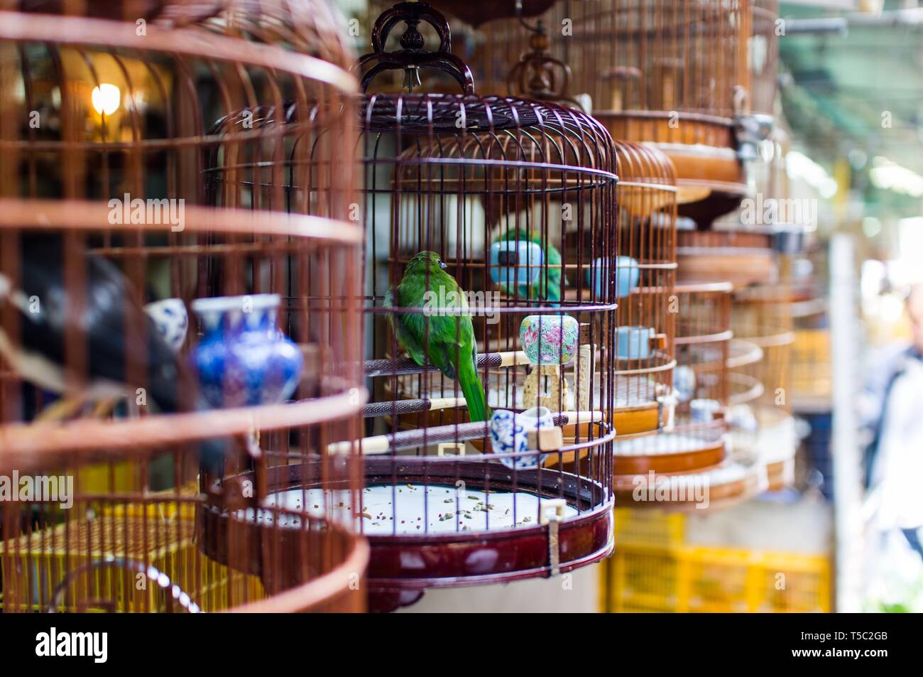 Mercato di uccelli, Hong Kong Foto Stock