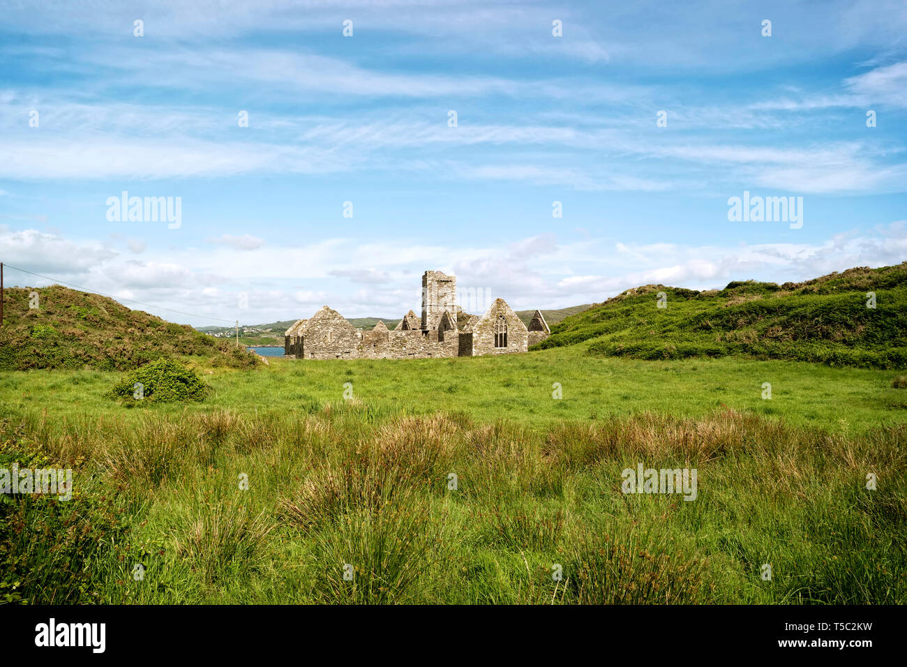 Pittoreschi resti dell abbazia medievale su Sherkin isola nella baia di Baltimora,County Cork, Irlanda Foto Stock