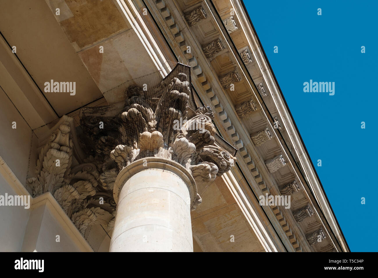 Ornati in dettaglio sulle colonne della cupola francese a Gendarmenmarkt - Foto Stock