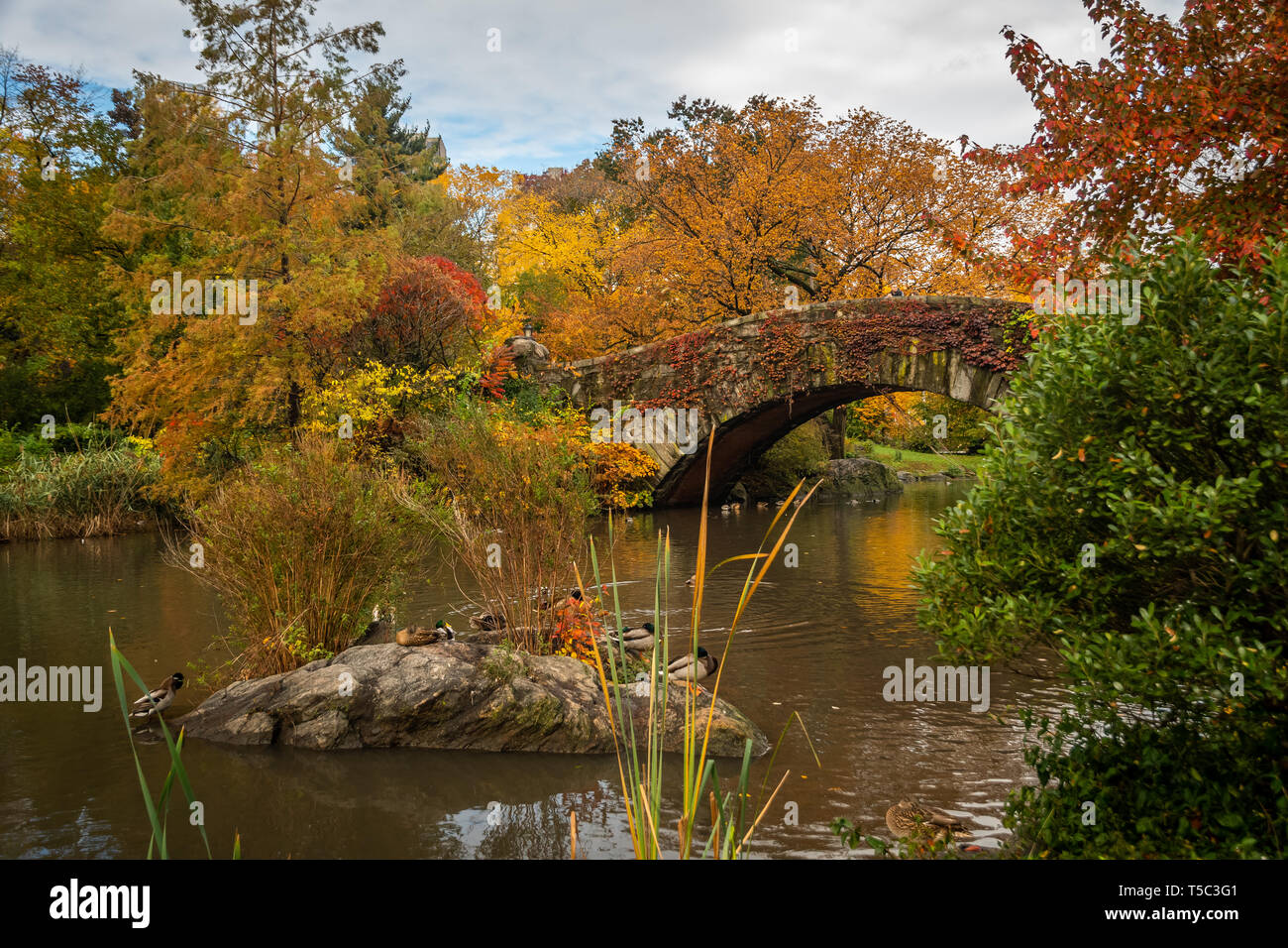 Gapstow Bridge, Central Park, in autunno Foto Stock