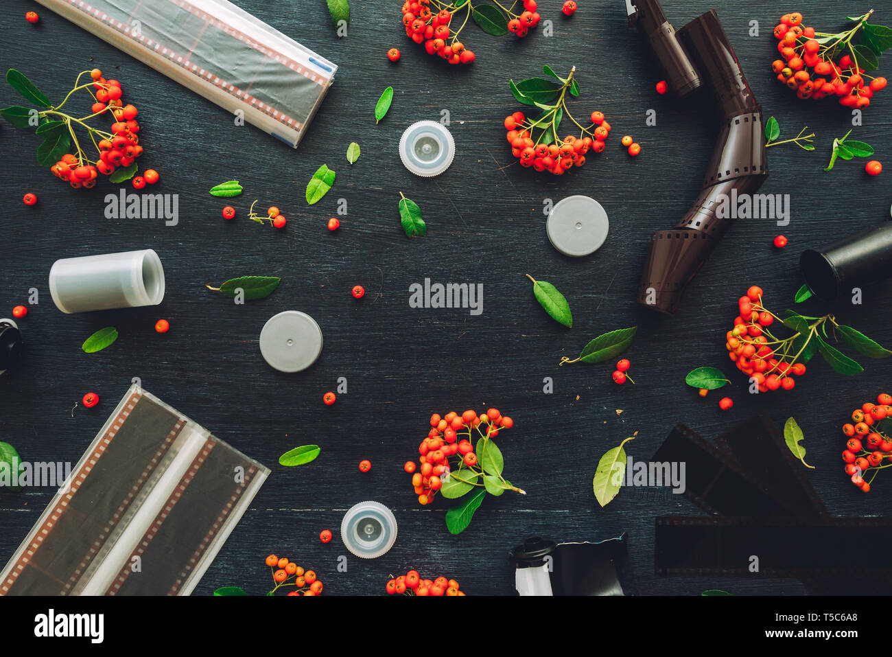 Vintage retrò attrezzature fotografiche lay piatto su sfondo scuro decorato wild berry disposizione di frutta Foto Stock