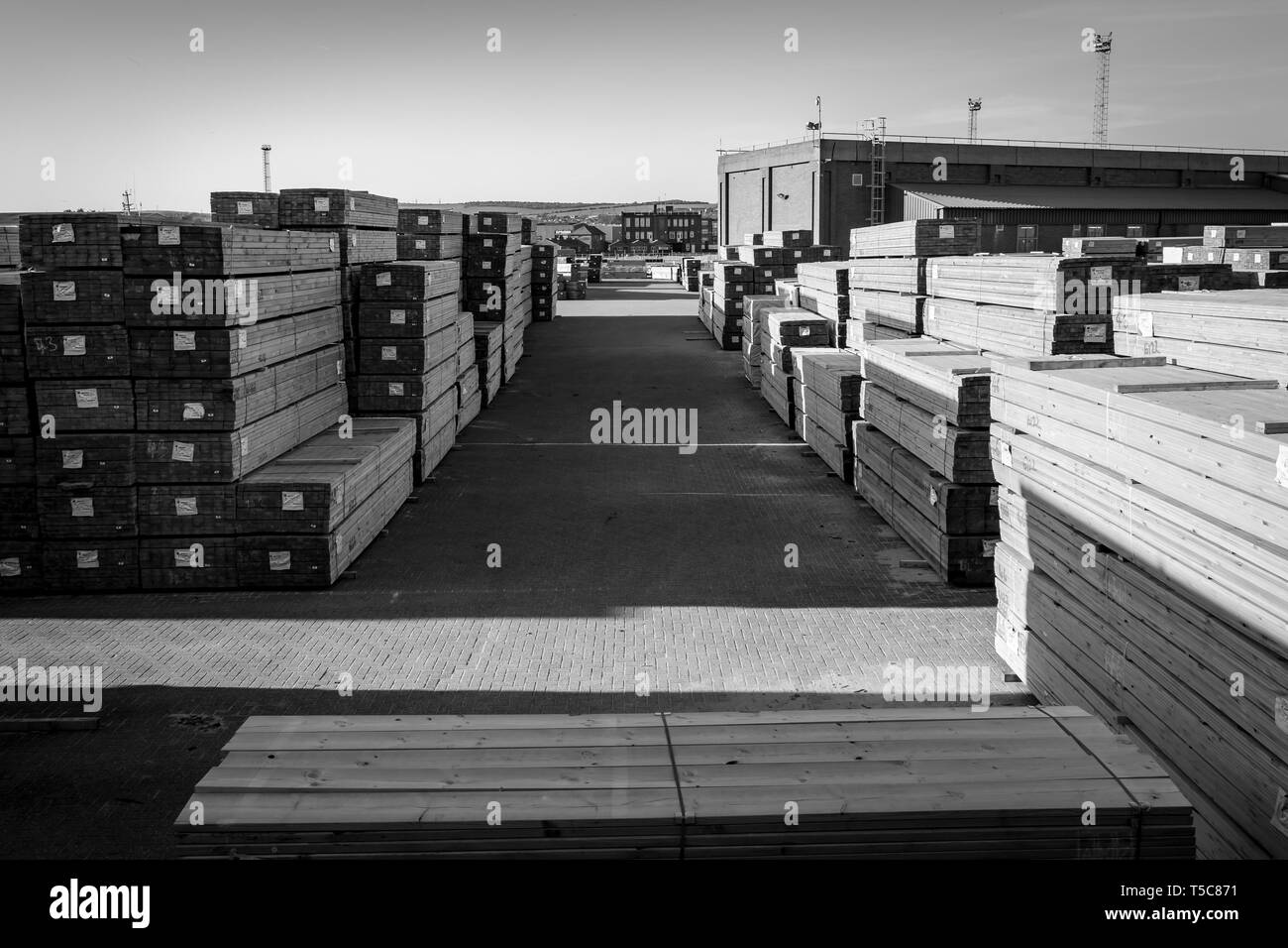 Legname importato in porto legname Foto Stock