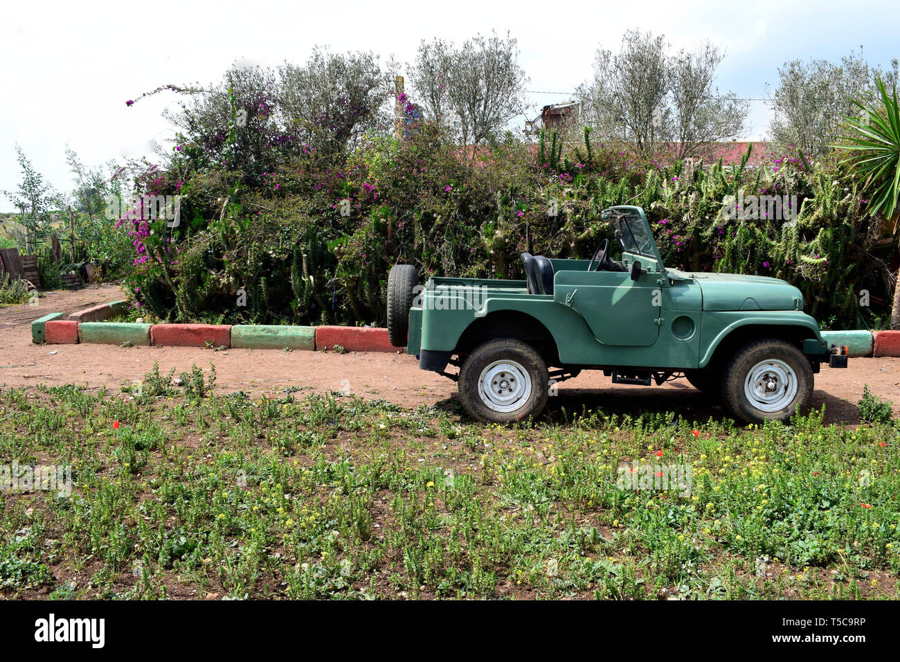 Vecchio verde jeep 4X4 classic car nel parco con splendidi paesaggi Foto Stock