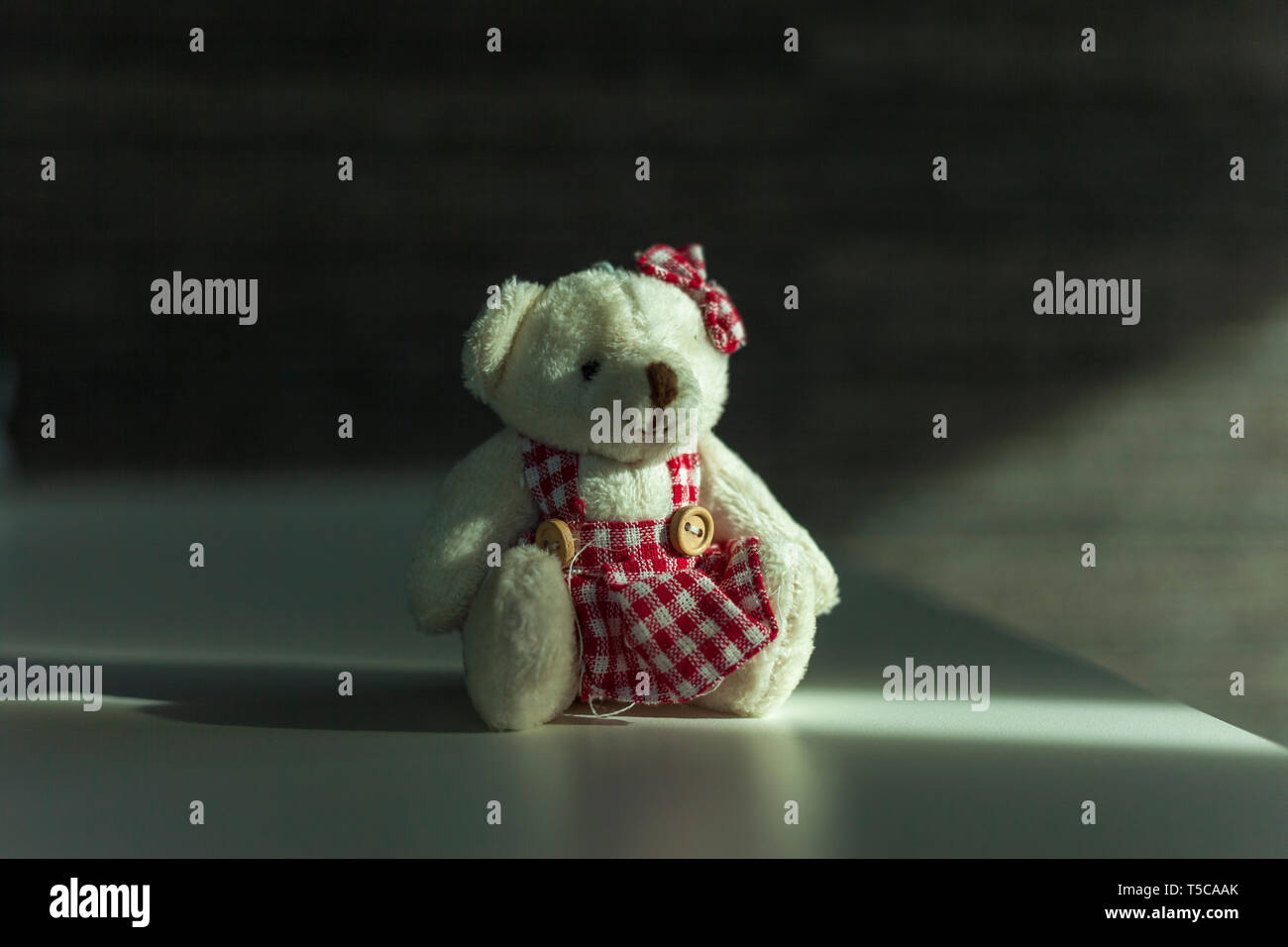 Piccolo orsacchiotto seduto su un tavolo Foto Stock