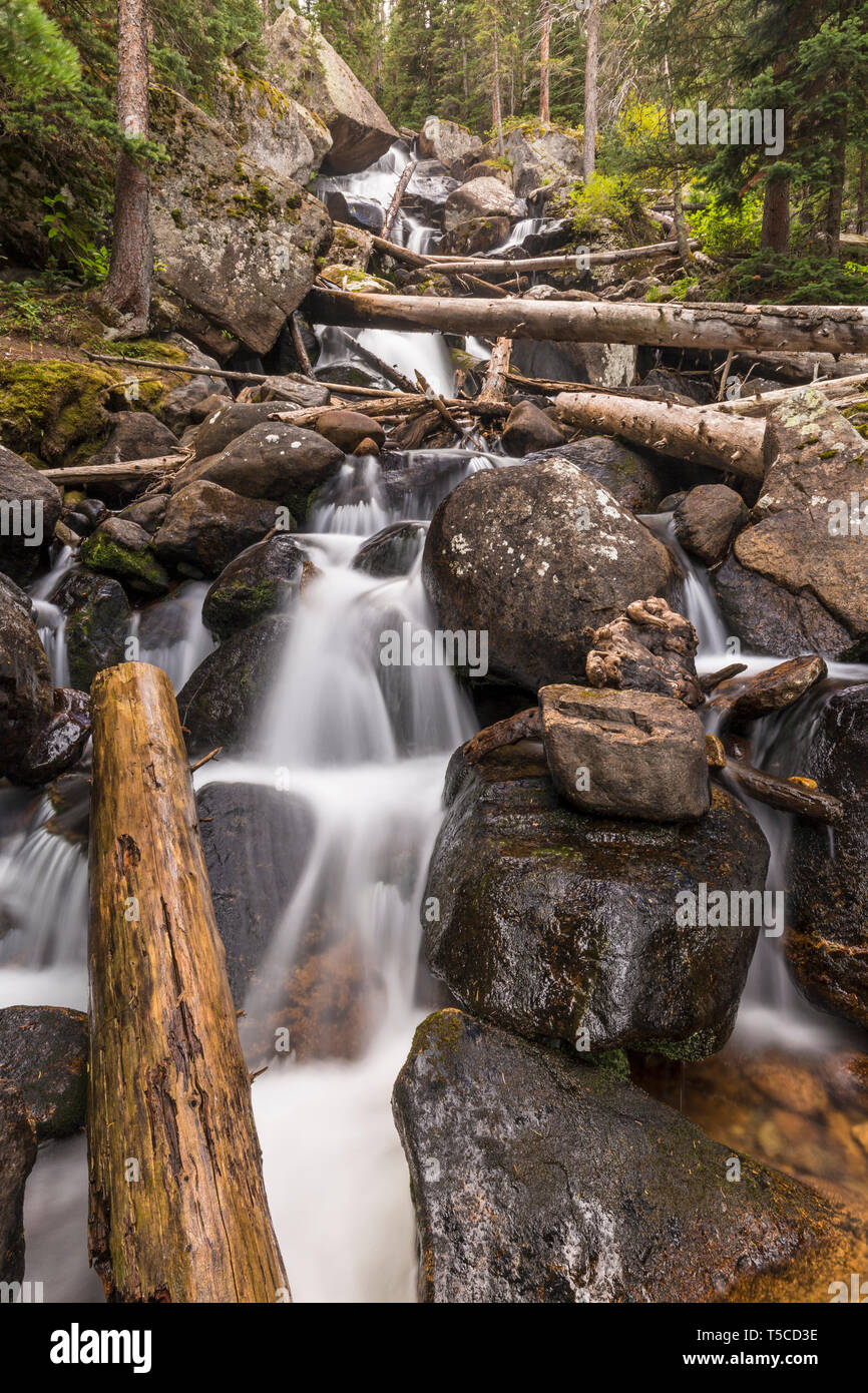 Una serie di piccole cascate a Calypso Cascades nel selvaggio Bacino del Rocky Mountain National Park vicino a Allenspark, Colorado. Foto Stock