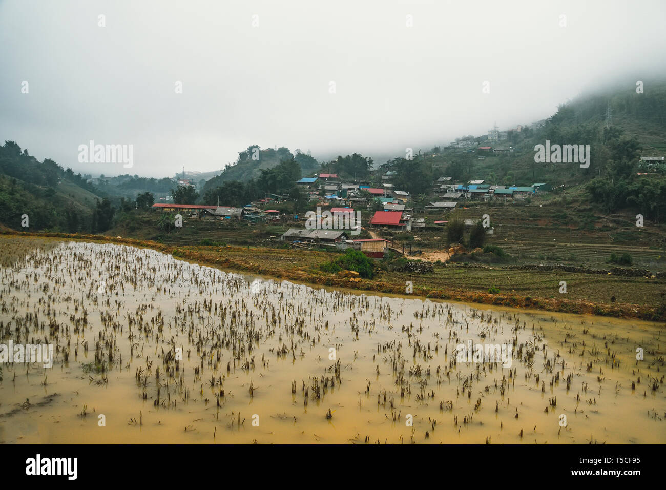 Bellissime vedute di paesaggi di terrazze di riso durante l inverno fuori stagione con acqua fangosa nei campi. Foto Stock