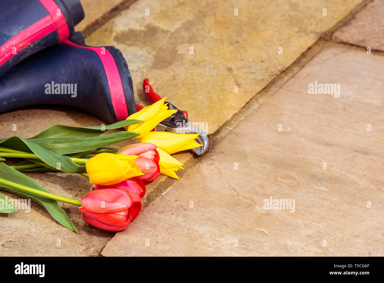 Coppia di blu stivali da pioggia su un patio in pietra. Onorevoli stivali da pioggia. La molla di fiori recisi di colore giallo e rosso tulipani, con secateurs. Foto Stock