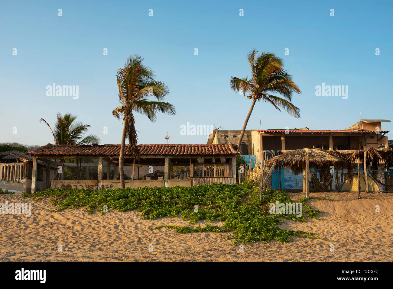 Le proprietà di umile e la vegetazione ricopre la riva della spiaggia di Zipolite (Playa Zipolite). Lo Stato di Oaxaca, Messico. Apr 2019 Foto Stock