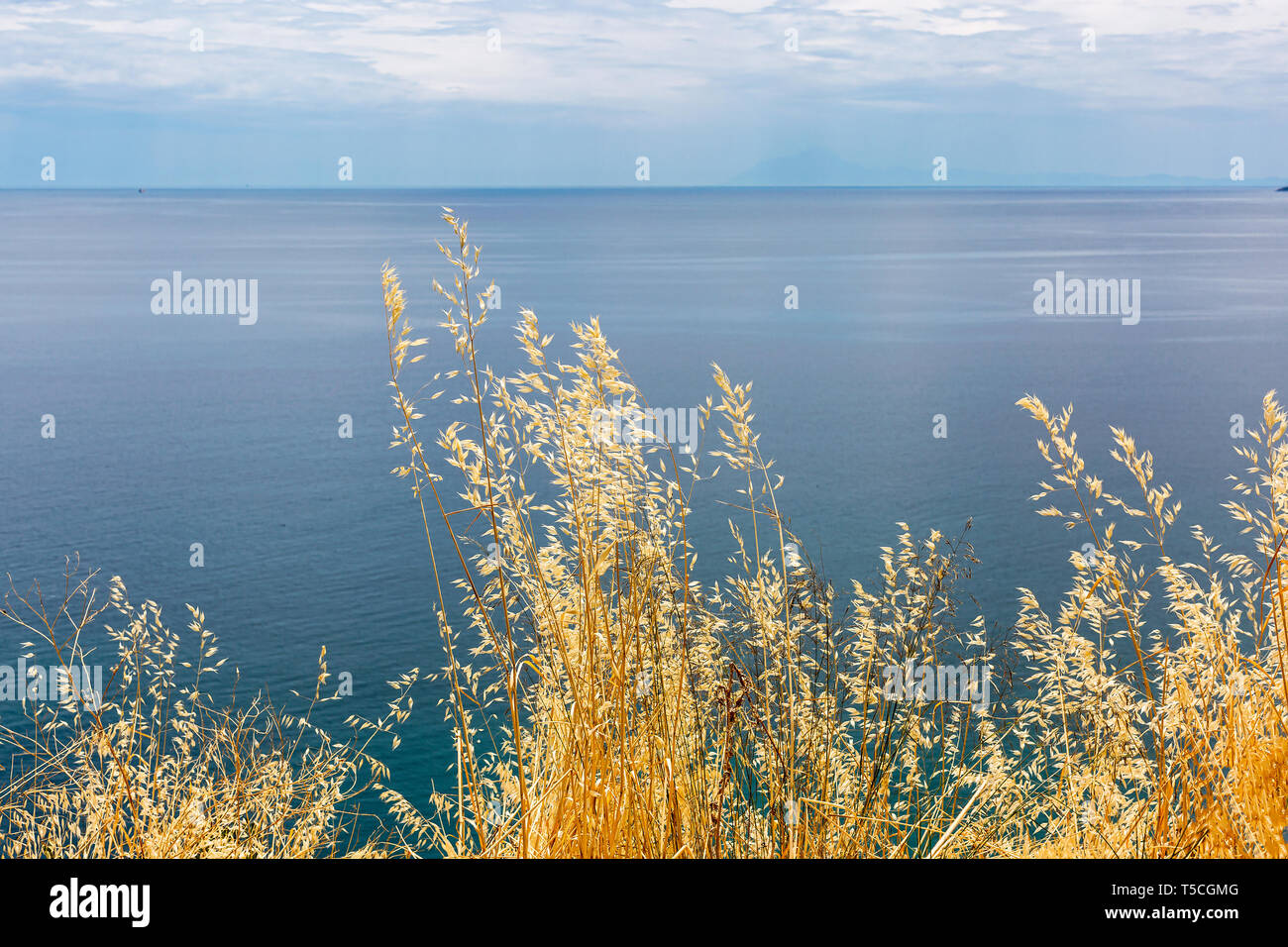 Giallo erba secca sul blu del mare e cielo nuvoloso sfondo. Vista dalla collina Foto Stock