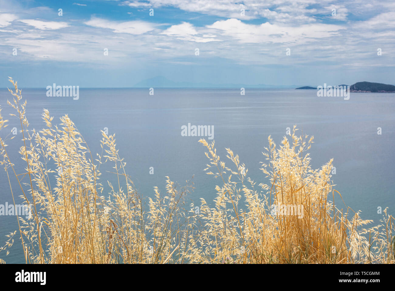 Giallo erba secca sul blu del mare e cielo nuvoloso sfondo. Vista dalla collina Foto Stock