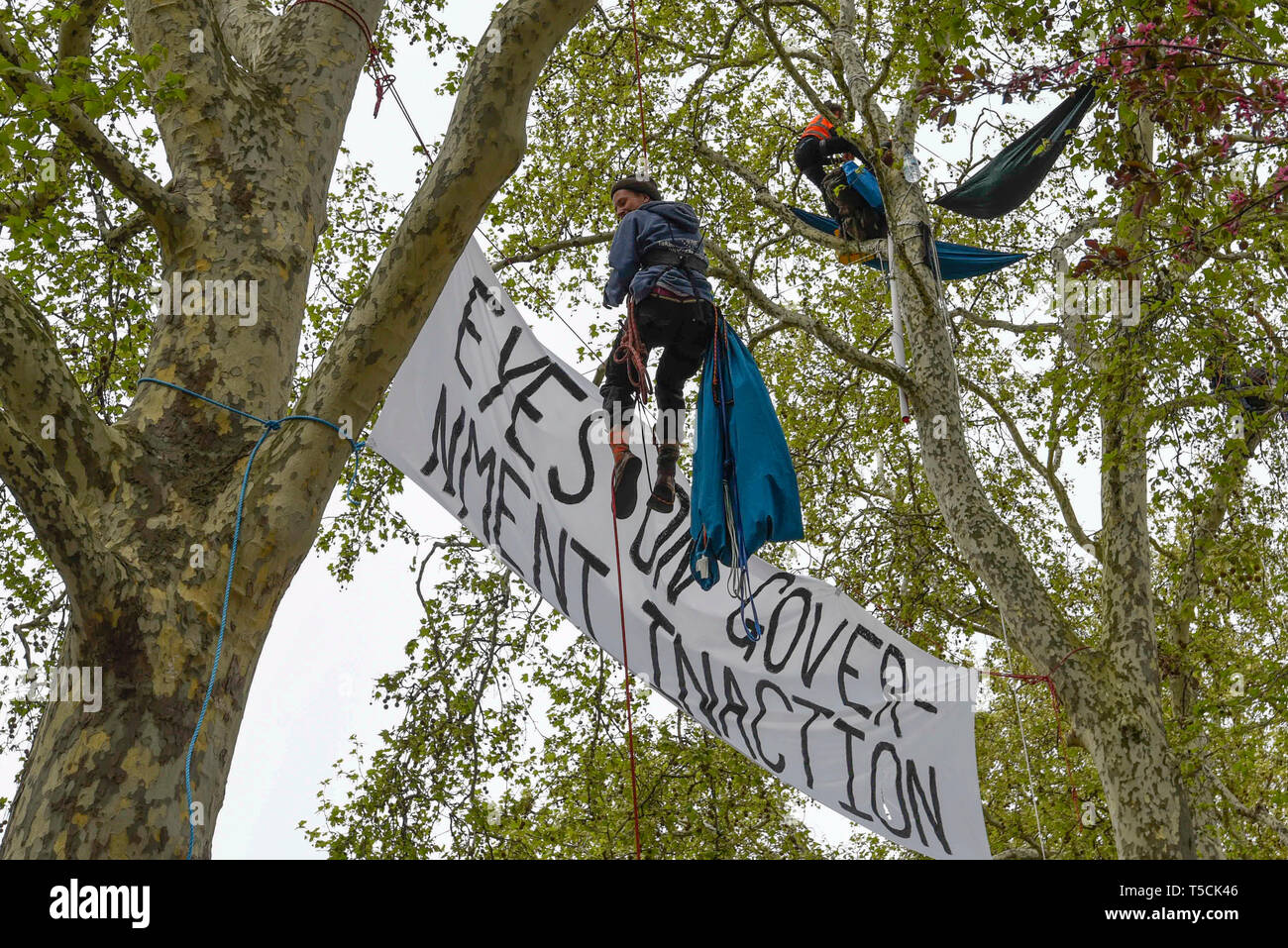 Londra, Regno Unito. 22 apr, 2019. Gli attivisti arrampicarsi sugli alberi a Piazza del Parlamento durante il 'London: International Rebellion', il giorno nove di una protesta organizzata dalla ribellione di estinzione. I dimostranti chiedono che i governi stanno prendendo provvedimenti contro il cambiamento climatico. La polizia ha rilasciato una sezione 14 ordine per la piazza del Parlamento e si aspettano che l occupazione della piazza avrà concluso entro la fine della giornata. Credito: Stephen Chung/Alamy Live News Foto Stock
