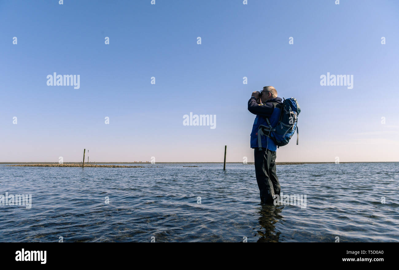 Cuxhaven, Germania. Xx Apr, 2019. Hans, la guida per il mare di Wadden, sorge a bassa marea in un priel nel mare di Wadden e guarda nella paura del suo binocolo verso l'Isola di Neuwerk. Credito: Mohssen Assanimoghaddam/dpa/Alamy Live News Foto Stock