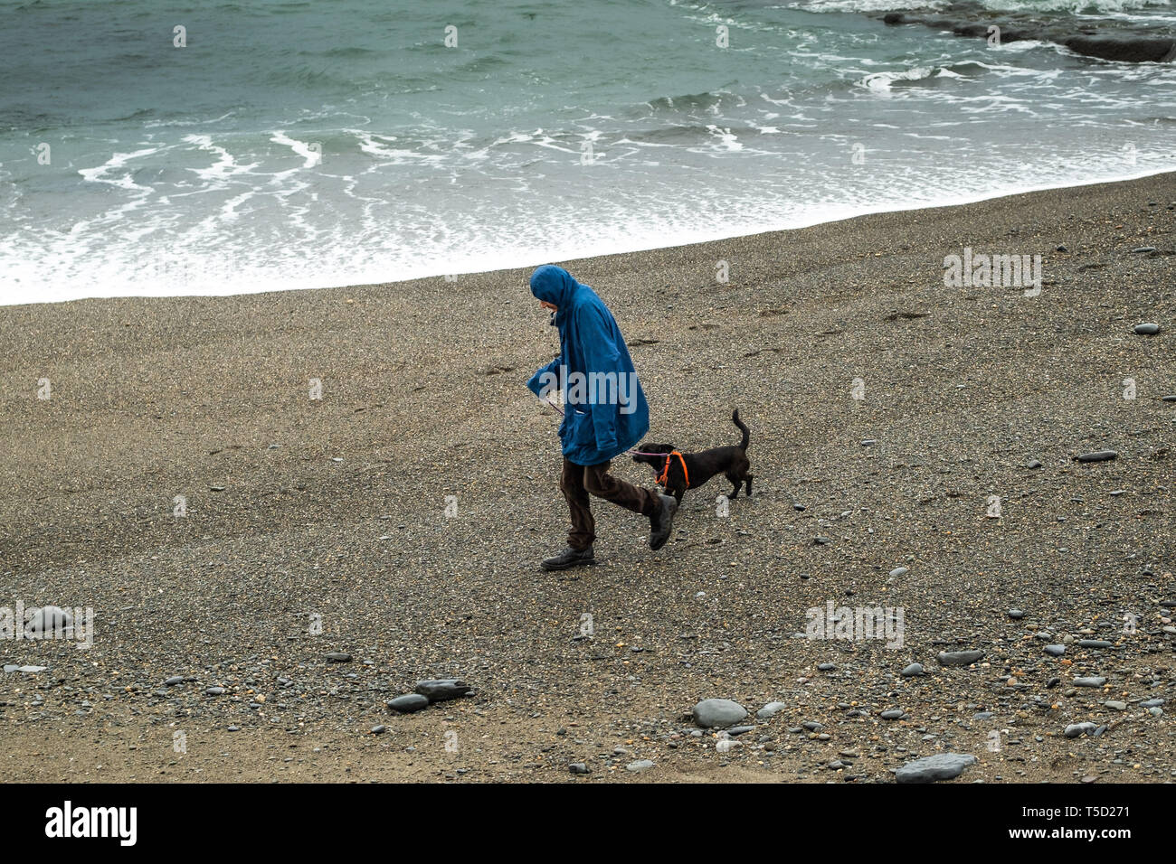 Aberystwyth, UK. 24 apr, 2019. Regno Unito . Regno Unito: Meteo dopo la faceva un caldo tremendo e il record di tempo oltre le vacanze di Pasqua, il meteo ha restituito alla sua stagione la norma con il grigio delle nubi e pioggia battente verso il basso le poche persone che passeggiano lungo la spiaggia in Aberystwyth sulla West Wales coast Photo credit: keith morris/Alamy Live News Foto Stock