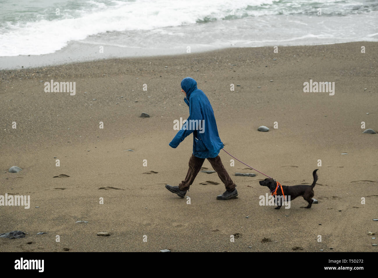 Aberystwyth, UK. 24 apr, 2019. Regno Unito . Regno Unito: Meteo dopo la faceva un caldo tremendo e il record di tempo oltre le vacanze di Pasqua, il meteo ha restituito alla sua stagione la norma con il grigio delle nubi e pioggia battente verso il basso le poche persone che passeggiano lungo la spiaggia in Aberystwyth sulla West Wales coast Photo credit: keith morris/Alamy Live News Foto Stock